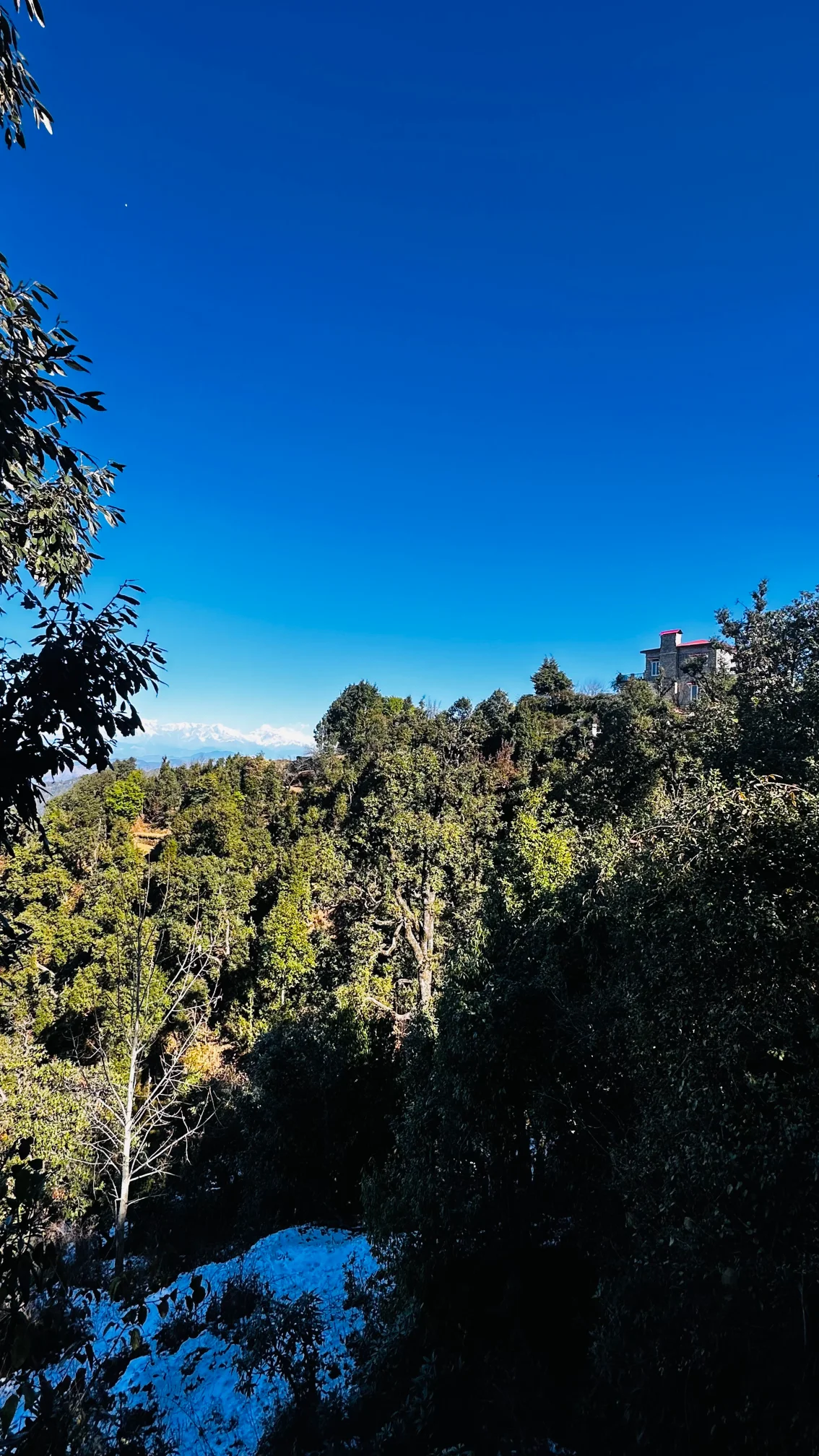 Views From Amber Himalayas