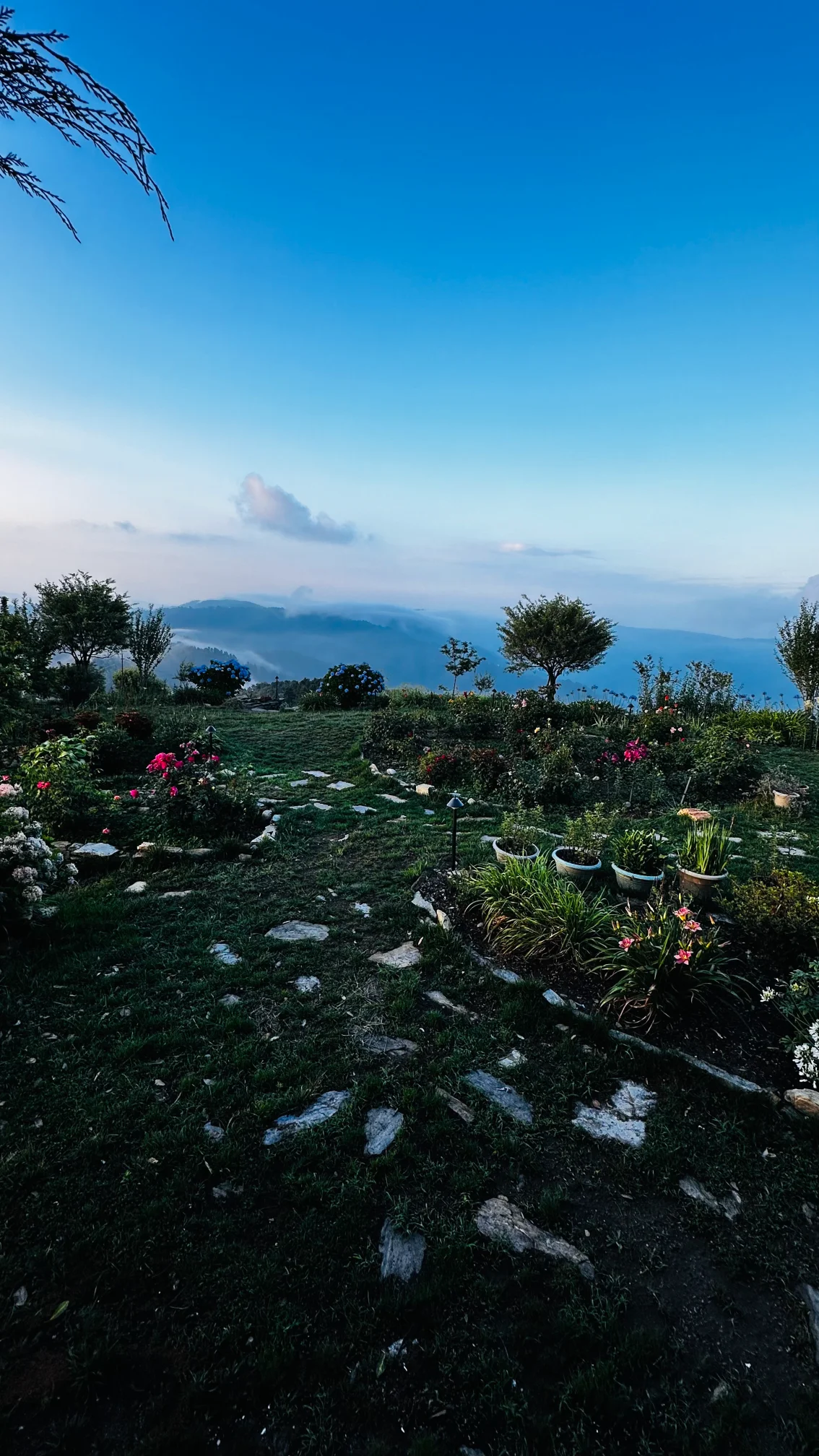 Front Garden Of Hotel Amber Himalayas