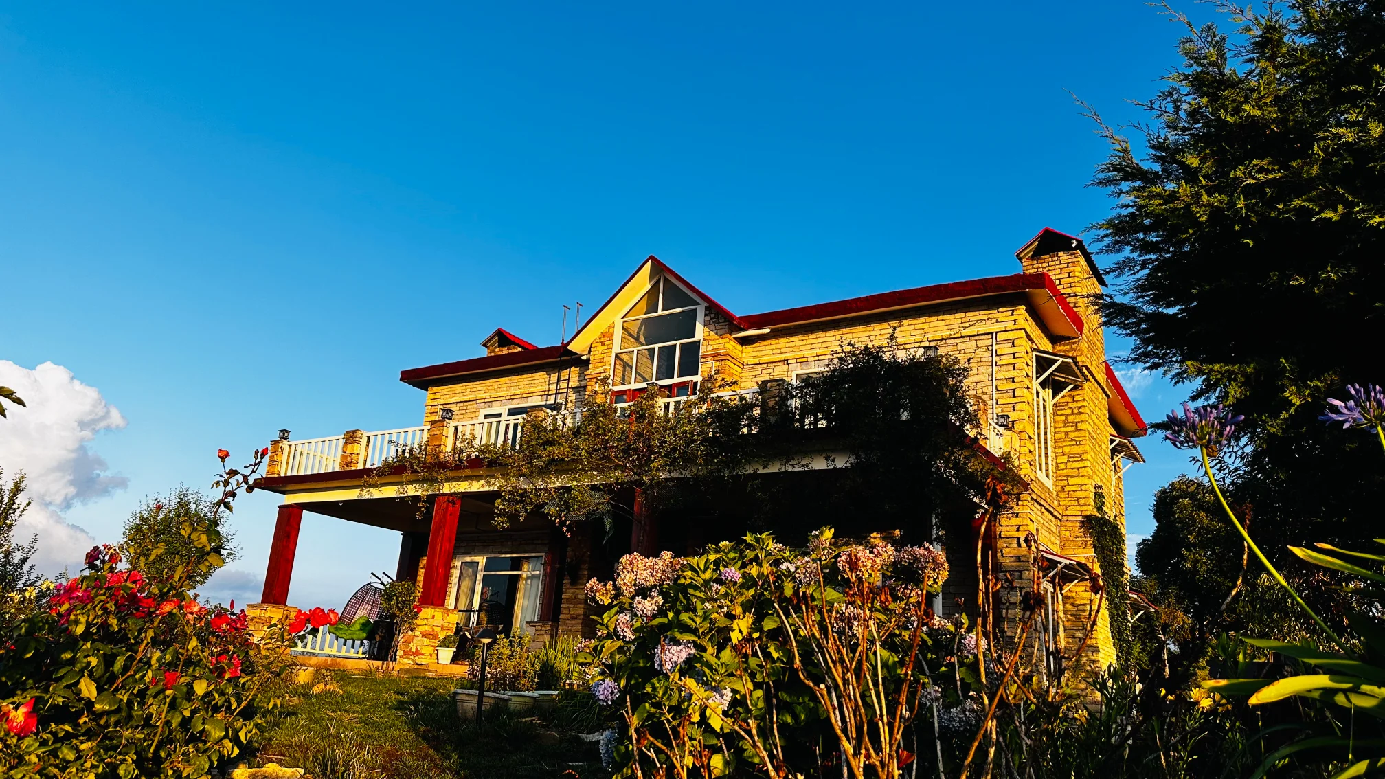 Amber Himalayas property image