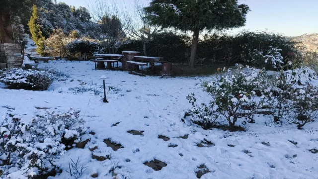 snow outside garden in the hotel Amber Himalayas
