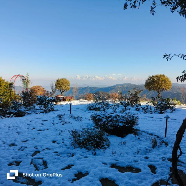Snow Fall in Amber Himalayas Okhalkanda Uttarakhand